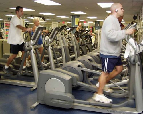 Crosstrainer Training